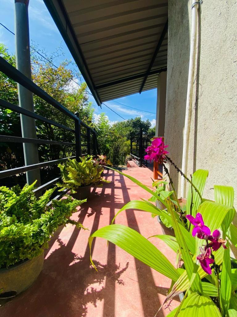 Mellow Homestay Ella Buitenkant foto