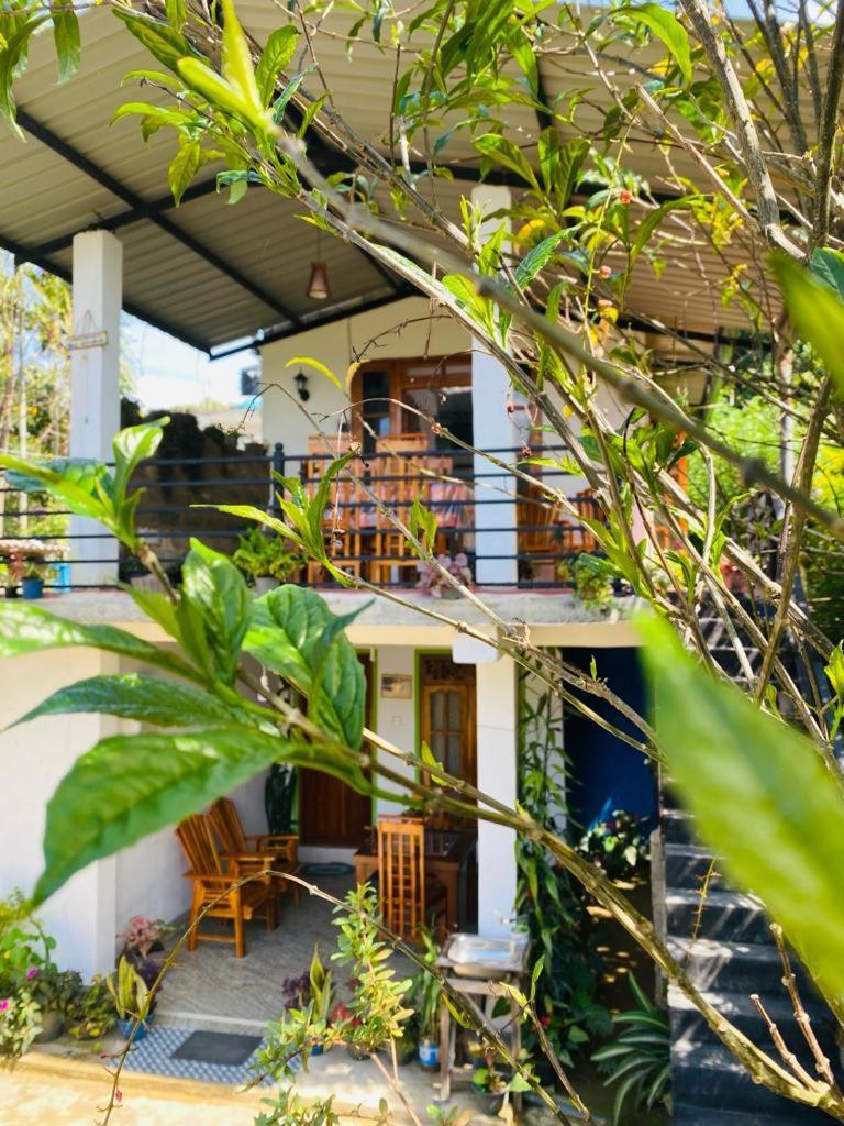 Mellow Homestay Ella Buitenkant foto